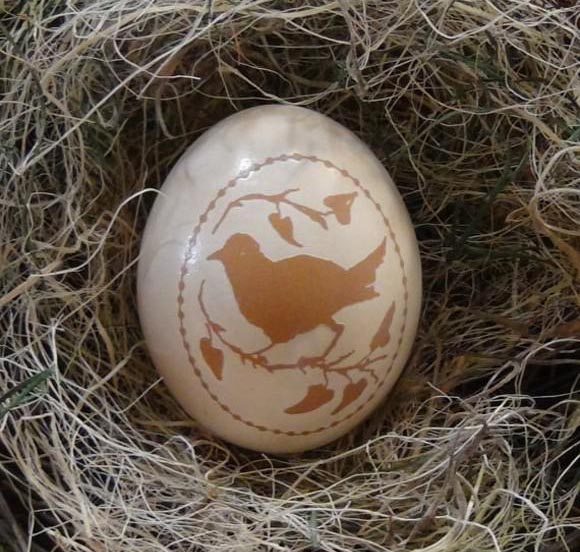 雞蛋、鳥蛋激光標刻樣品